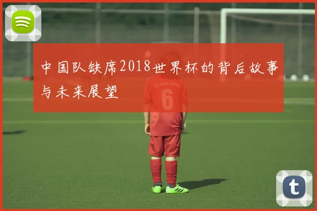 中国队缺席2018世界杯的背后故事与未来展望