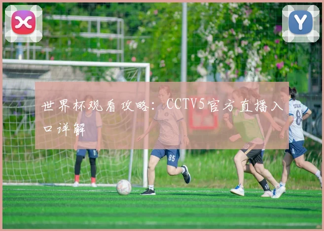 世界杯观看攻略：CCTV5官方直播入口详解