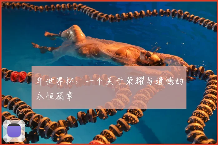 年世界杯,一个关于荣耀与遗憾的永恒篇章