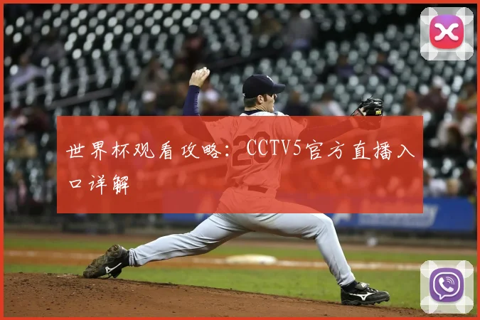 世界杯观看攻略:CCTV5官方直播入口详解